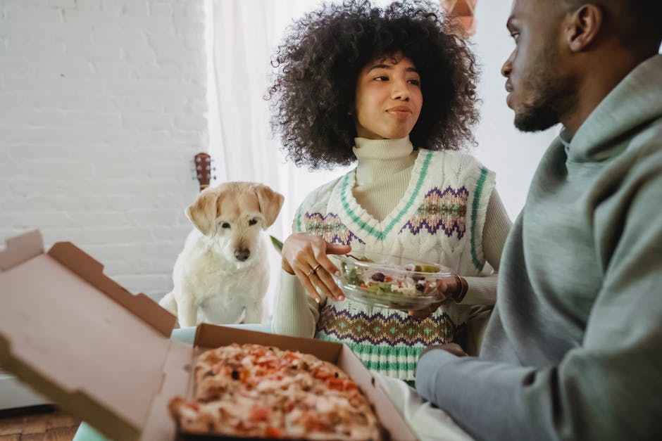 Hundefutter: Welches Getreide darf gefüttert werden?